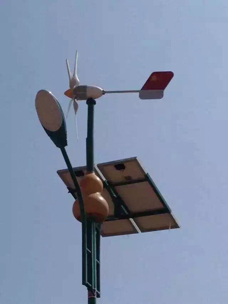 青海西寧風光互補太陽能路燈及景觀燈安裝案例